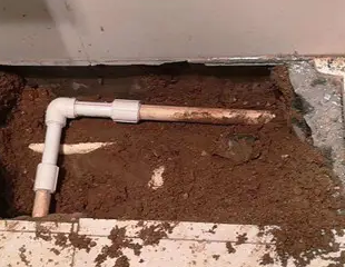 相城测漏水哪家好