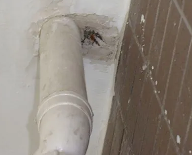 相城漏水检测哪家好